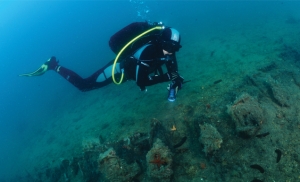 The Last Voyage of Gagliana Grossa